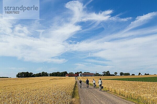 Ven  Schweden  August 06  2015: Gruppe von Radfahrern in der Landschaft auf der schwedischen Insel Ven  Europa