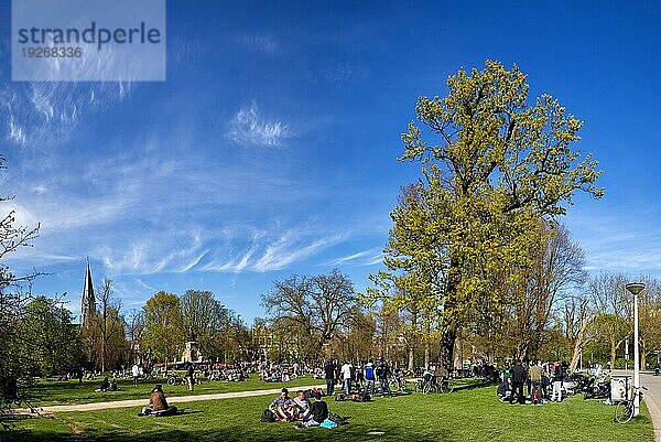 Menschen entspannen beim Picknick im Vondelpark in Amsterdam  Niederlande im Frühling. Menschen entspannen sich beim Picknick im Vondelpark in Amsterdam  Niederlande im Frühling