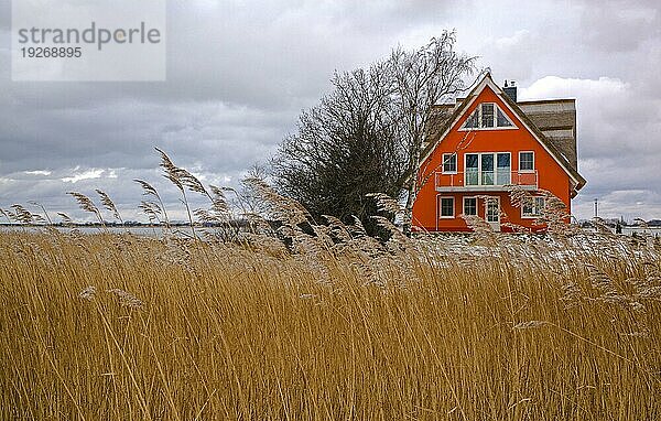 Rügen im Winter - Haus am Hafen von Vieregge