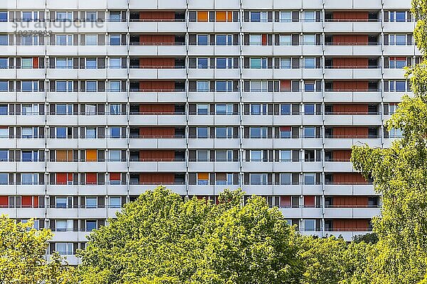 Wohnstadt Asemwald im Süden von Stuttgart mit drei Gebäudekomplexe und 1137 Wohneinheiten  Fassade eines Wohnblocks mit Fenster und Balkonen  Stuttgart  Baden-Württemberg  Deutschland  Europa