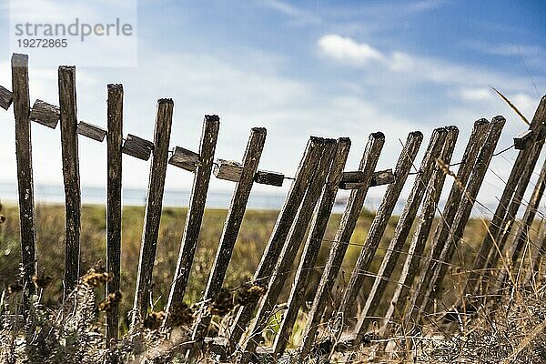 Alter Zaun am Meer  Old Fence at the sea