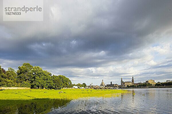 Dresdner Altstadtsilhouette im sommerlichen Abebndlicht  die Elbe führ nach starken Niederschlägen  leichtes Hochwasser