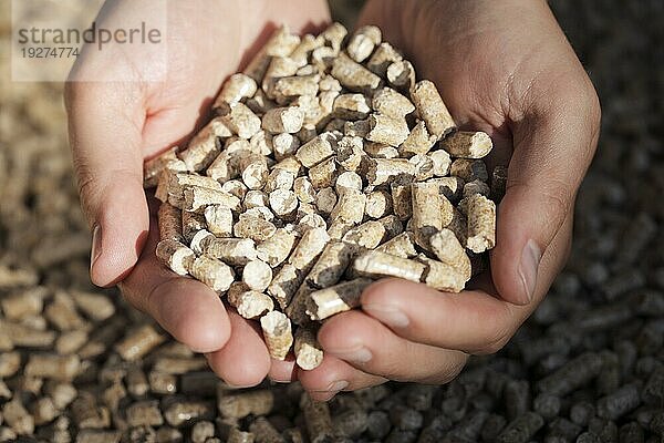 Alternativer Brennstoff: Pellets aus industriellen Holzabfällen. Kurze Tiefenschärfe