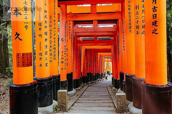 Rotes Tori Tor am Fushimi Inari Schrein in Kyoto  Japan. Eine der größten Touristenattraktionen Japans