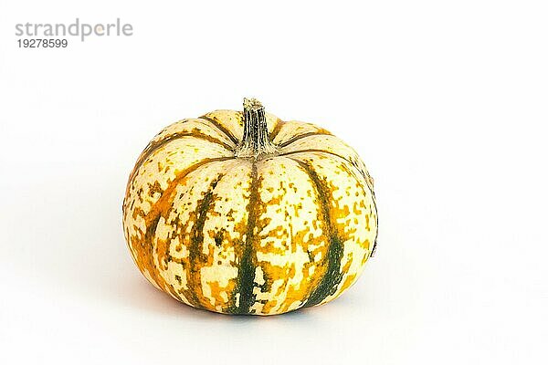 Zierkürbis auf weißem Hintergrund  ornamental or decorative gourd on white background