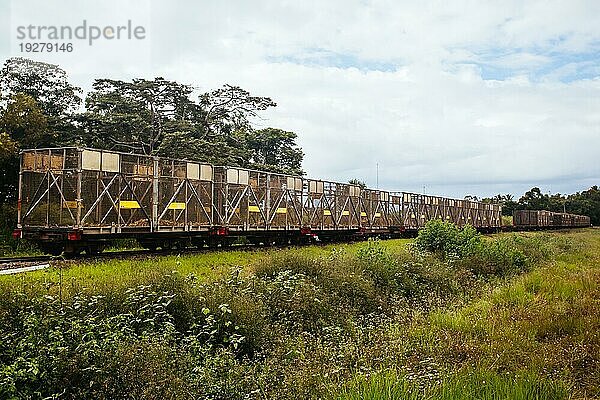 Eine Zuckerrohrlokomotive in der Nähe des Daintree Gebirges im äußersten Norden Queenslands  Australien  Ozeanien