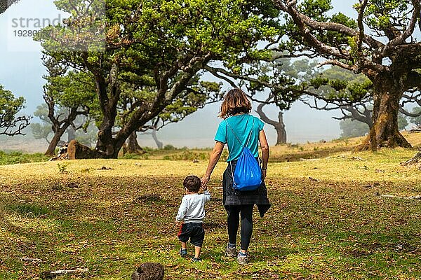 Fanal Wald auf Madeira  Mutter mit ihrem Sohn  die sich im Sommer unter Lorbeerbäumen vergnügen