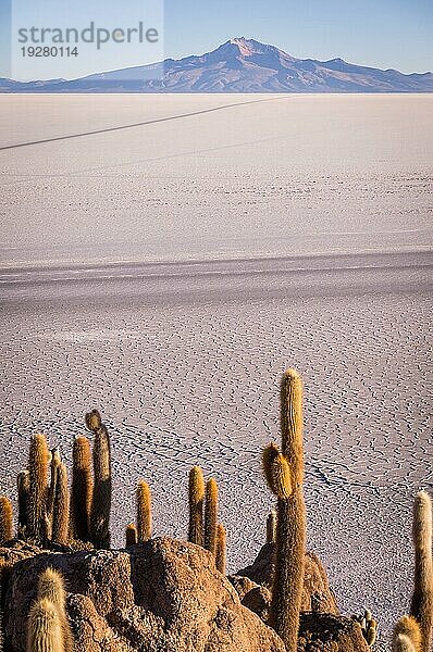 Umgeben vom Salzsee Salar de Uyuni ist der Blick von der Kaktusinsel Incahuasi beeindruckend