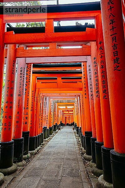 Rotes Tori Tor am Fushimi Inari Schrein in Kyoto  Japan. Eine der größten Touristenattraktionen Japans