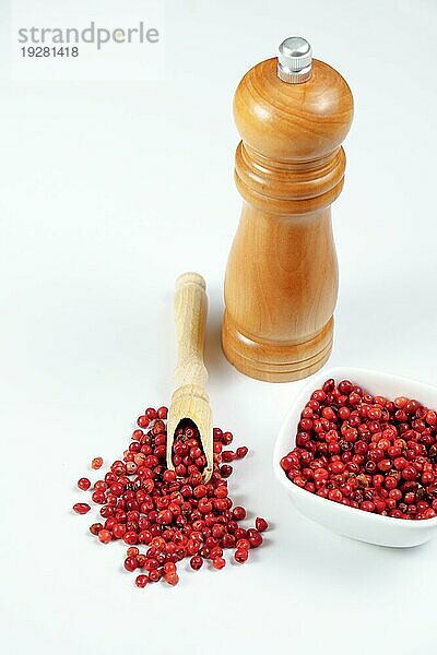 Rosa Pfefferkörner in einem Holzlöffel mit einem hölzernen Pfefferstreuer vor einem weißen Hintergrund und Kopierraum