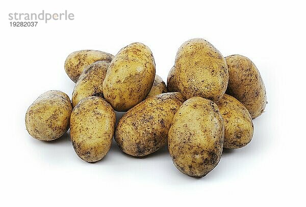 Schmutzige Kartoffeln vor weißem Hintergrund mit natürlichen Schatten