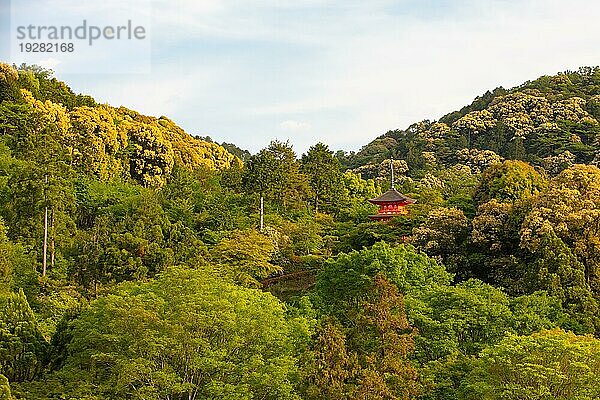 Der kultige Kiyomizu dera Tempel und die Aussicht auf die Berge an einem sonnigen Frühlingstag in Kyoto  Japan  Asien