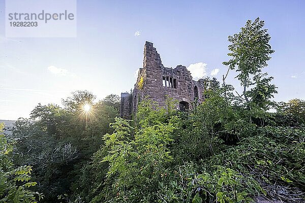 Burg Hohenschramberg im Schwarzwald am Abend  Sonnenstern  Schlossbau des Hans von Rechberg  Wahrzeichen von Schramberg  Baden-Württemberg  Deutschland  Europa