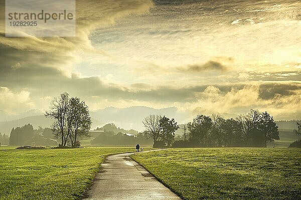 Landschaft mit Wiesen und Bäumen im Allgäu nach einem Regenschauer bei Gegenlicht. Eine Person geht ein Stück entfernt mit ihrem Hund auf einem Weg. Isny im Allgäu  Baden-Württemberg  Deutschland  Europa