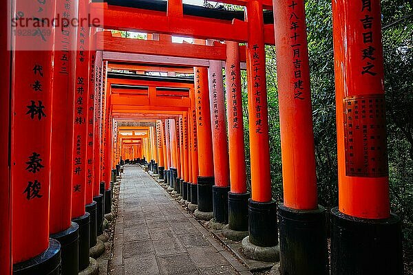 Rotes Tori Tor am Fushimi Inari Schrein in Kyoto  Japan. Eine der größten Touristenattraktionen Japans