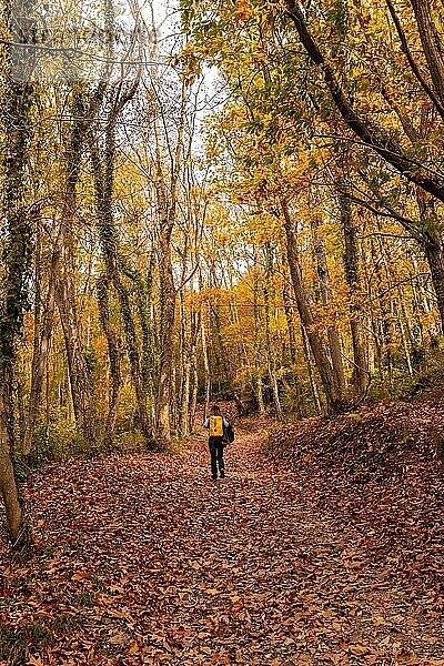 Eine junge Frau auf einem Baumweg in Richtung des Berges Erlaitz im Herbst in der Stadt Irun  Gipuzkoa. Baskenland