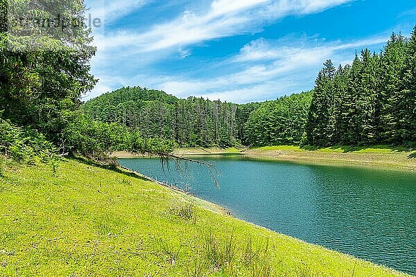 Der See ist von Kiefern umgeben und hat schöne Strände. Luftaufnahme des Stausees aus der Drohne im Sommer