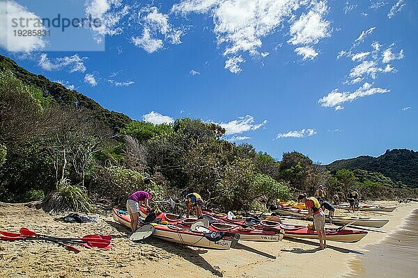 Abel Tasman  Neuseeland  8. März 2015: Menschen bereiten Kajaks an einem Strand im Abel Tasman National Park auf der Südinsel vor  Ozeanien