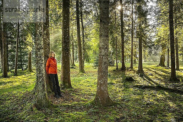 Eine Frau steht entspannt in einer Parklandschaft bzw. Waldlandschaft  lehnt an einem Baum und genießt die Natur beim Waldbaden. Die herbstliche Morgensonne scheint zwischen den Bäumen hindurch. Gegenlicht mit Sonnenstern. Isny im Allgäu  Deutschland  Europa
