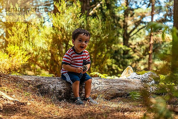 Porträt eines Jungen  der auf einem Baum in der Natur neben Kiefern sitzt und lächelt  Madeira. Portugal