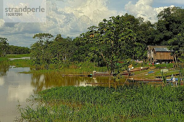 Traditionelle Häuser eines Caboclos Stammes am (Amazona) Fluss  Bundesstaat Amazonas  Brasilien  Südamerika