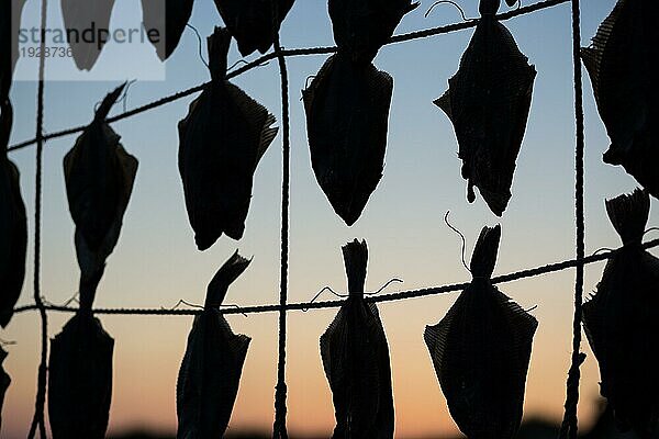 Silhouette eines zum Trocknen aufgehängten Fisches am Strand von Liseleje  Dänemark  Europa