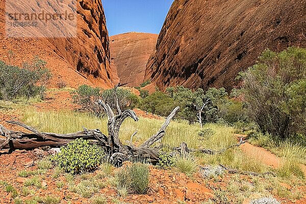 Landschaftlich reizvolle Felsformationen im Red Centre  Australien  Ozeanien