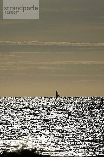 Segelboot am Horizont bei im Gegenlicht funkelnden und glitzernden Meer am Ärmelkanal kurz vor  Portbail  Cotentin  Manche  Normandie  Frankreich  Europa