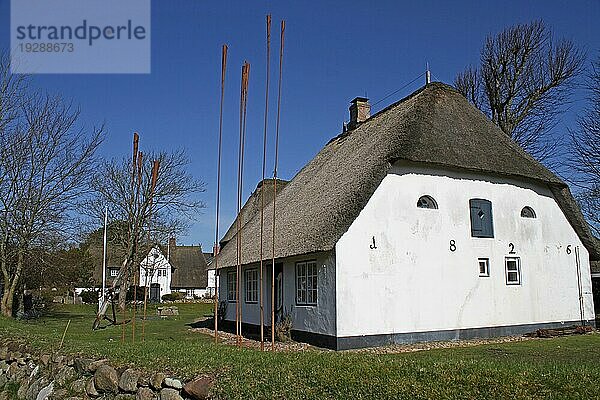 Frisian House