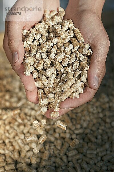 Alternativer Brennstoff: Pellets aus industriellen Holzabfällen. Kurze Tiefenschärfe