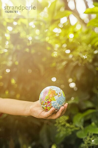 Close up Kind s Hand hält Globus Ball vor grünen Pflanze Sonnenlicht