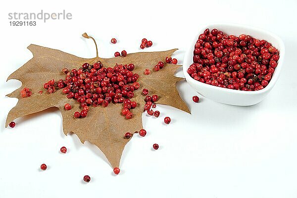 Rosa Pfefferkörner auf einem trockenen Blatt und in einer weißen Keramikschale vor weißem Hintergrund und Kopierraum