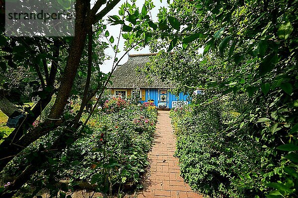 Idyllischer Garten mit blauem  reetgedecktem Fischerhaus