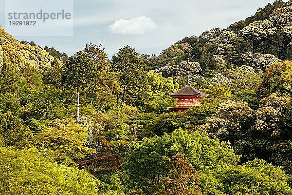 Der kultige Kiyomizu dera Tempel und die Aussicht auf die Berge an einem sonnigen Frühlingstag in Kyoto  Japan  Asien