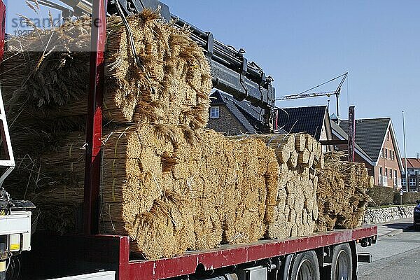 Reed on a truck