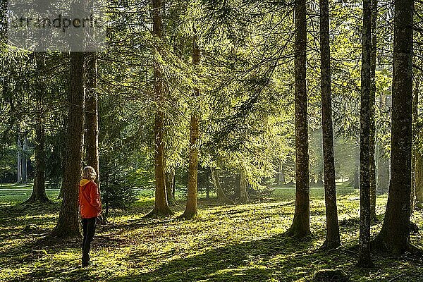Eine Frau steht entspannt in einer Parklandschaft bzw. Waldlandschaft und genießt die Natur beim Waldbaden. Die herbstliche Morgensonne scheint zwischen den Bäumen hindurch. Leichtes Gegenlicht. Isny im Allgäu  Deutschland  Europa
