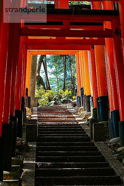 Rotes Tori Tor am Fushimi Inari Schrein in Kyoto  Japan. Eine der größten Touristenattraktionen Japans