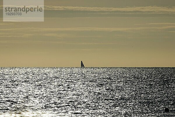 Segelboot am Horizont bei im Gegenlicht funkelnden und glitzernden Meer am Ärmelkanal kurz vor  Portbail  Cotentin  Manche  Normandie  Frankreich  Europa