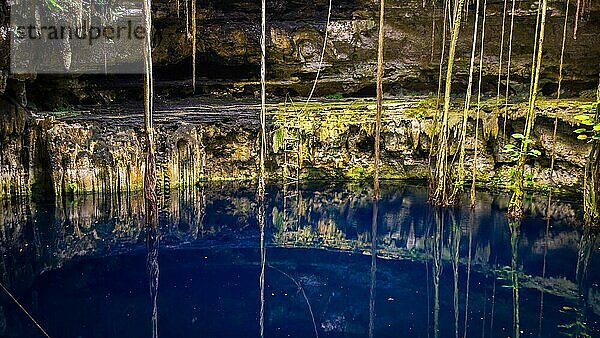 Cenote San Lorenzo Oxman in der Nähe von Valladolid  Mexiko. Eine schöne Cenote mit tiefem türkisfarbenem Wasser