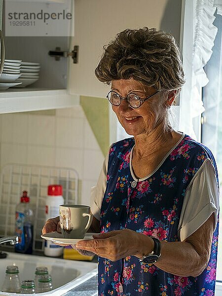 Oma mit alter Kittelschürze  Brille und Perücke am Küchenfenster in der Küche  Deutschland  Europa