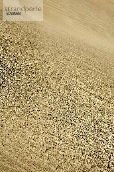 Nahaufnahme einer Sanddüne. Geringe Tiefenschärfe