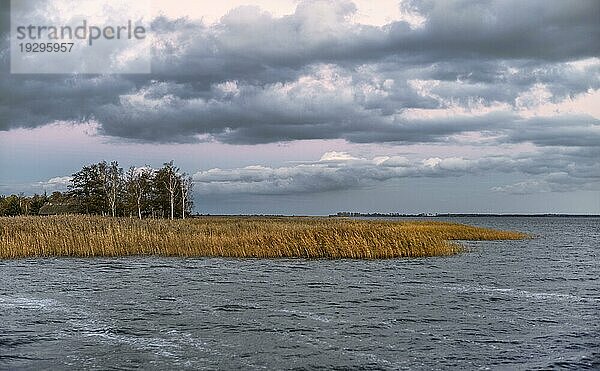 Der Bodstedter Bodden ist ein Teil der Darß-Zingster Boddenkette sowie des Nationalparks Vorpommersche Boddenlandschaft. Er liegt südlich der Halbinsel Fischland-Darß-Zingst an der Küste von Mecklenburg-Vorpommern