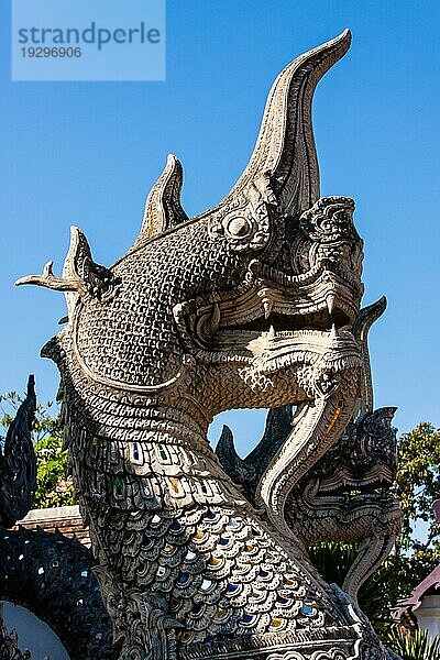 Naga im Wat Chedi Luang  Chiang Mai  Thailand  Asien