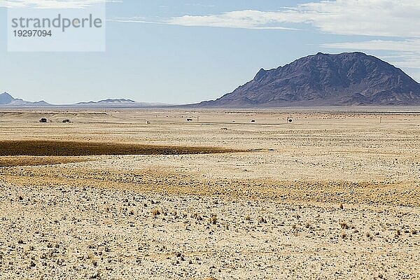 Wüste  desert  Namib-Naukluft Park  südliches Namibia  southern Namibia