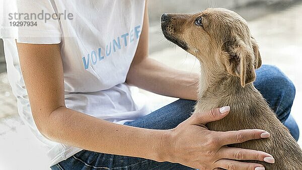 Seitenansicht Rettungshund erhält liebevolle Zuneigung von Frau Tierheim