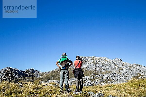 Kahurangi National Park  Neuseeland  15. März 2015: Zwei Wanderer mit Blick auf den Mount Owen  Ozeanien