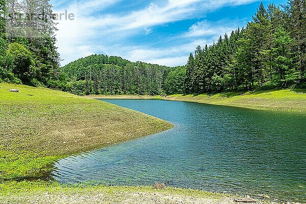 Der See ist von Kiefern umgeben und hat schöne Strände. Luftaufnahme des Stausees aus der Drohne im Sommer