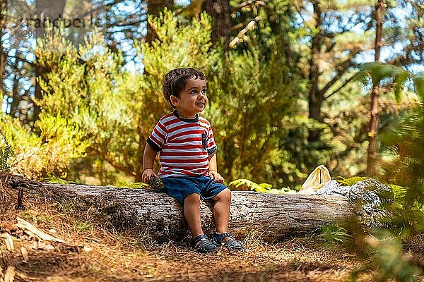 Porträt eines Jungen  der auf einem Baum in der Natur sitzt  neben Kiefern im Herbst  Madeira. Portugal