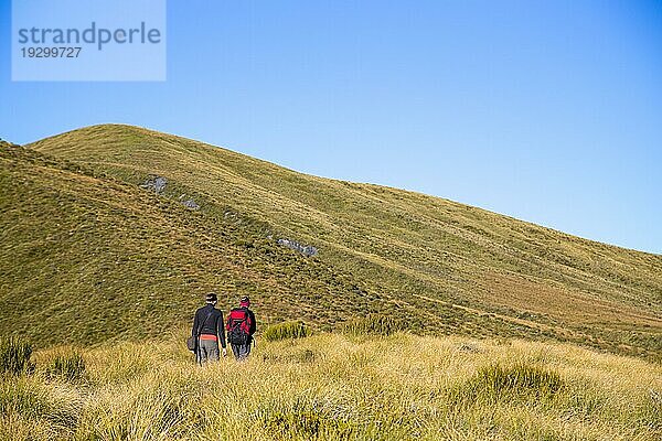 Kahurangi National Park  Neuseeland  15. März 2015: Menschen wandern im Kahurangi National Park  wo Mount Owen liegt  Ozeanien