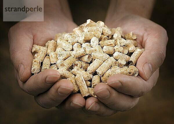 Alternativer Brennstoff: Pellets aus industriellen Holzabfällen. Kurze Tiefenschärfe